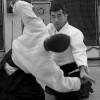 Shoji Seki Sensei