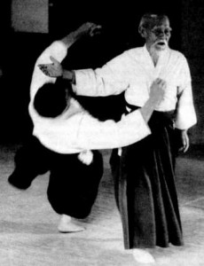 aikido-the-art-of-peace-430-d0000FD3088a652b94f05